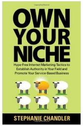 own your niche e-book cover